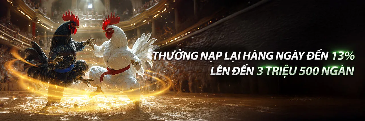 Sân vận động với ánh đèn rực rỡ và biểu tượng cá cược thể thao New66